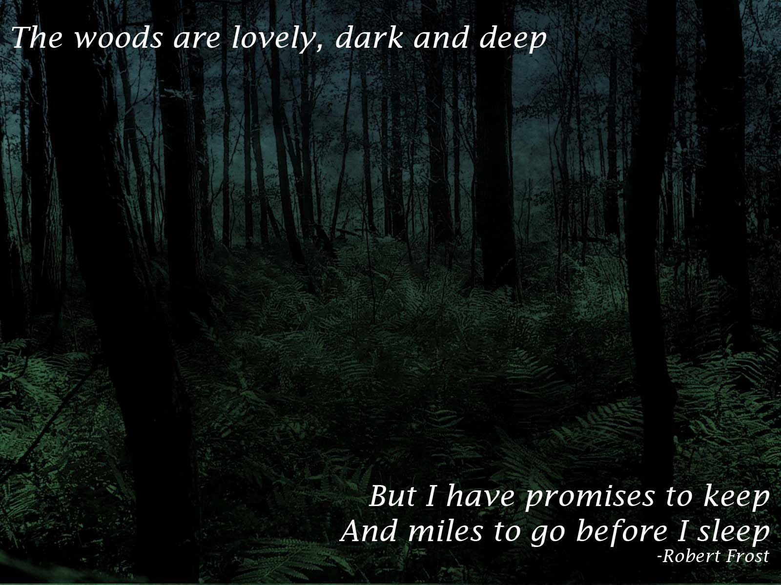 Robert Frost
